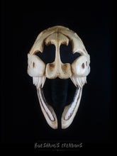 Load image into Gallery viewer, Snake Skull Mask - Full