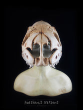 Load image into Gallery viewer, Snake Skull Mask - Half