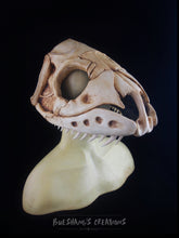 Load image into Gallery viewer, Snake Skull Mask - Half