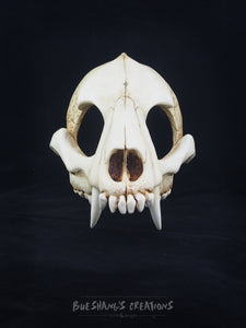 Wolf Skull Mask - Half