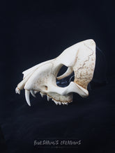 Load image into Gallery viewer, Wolf Skull Mask - Half